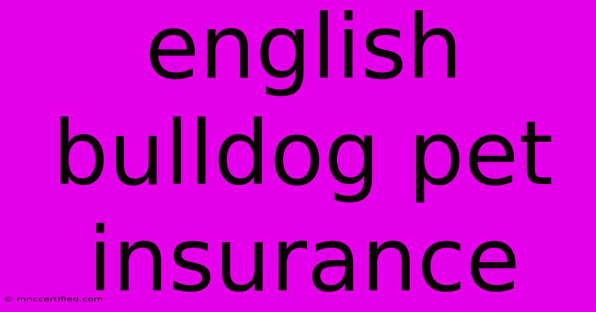 English Bulldog Pet Insurance