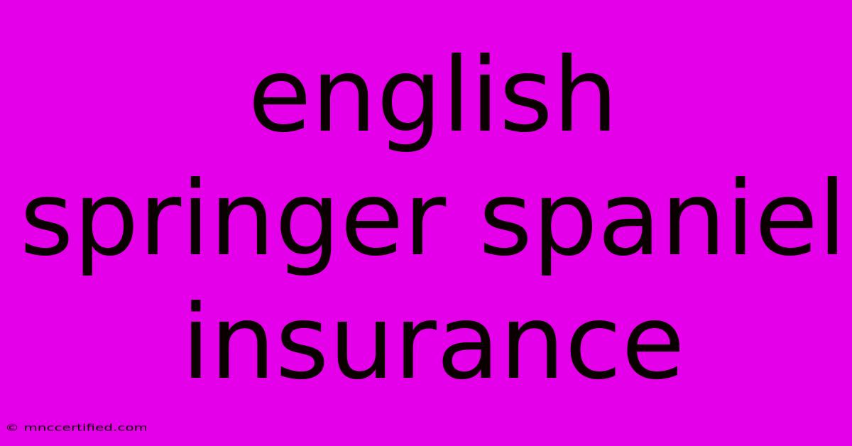 English Springer Spaniel Insurance