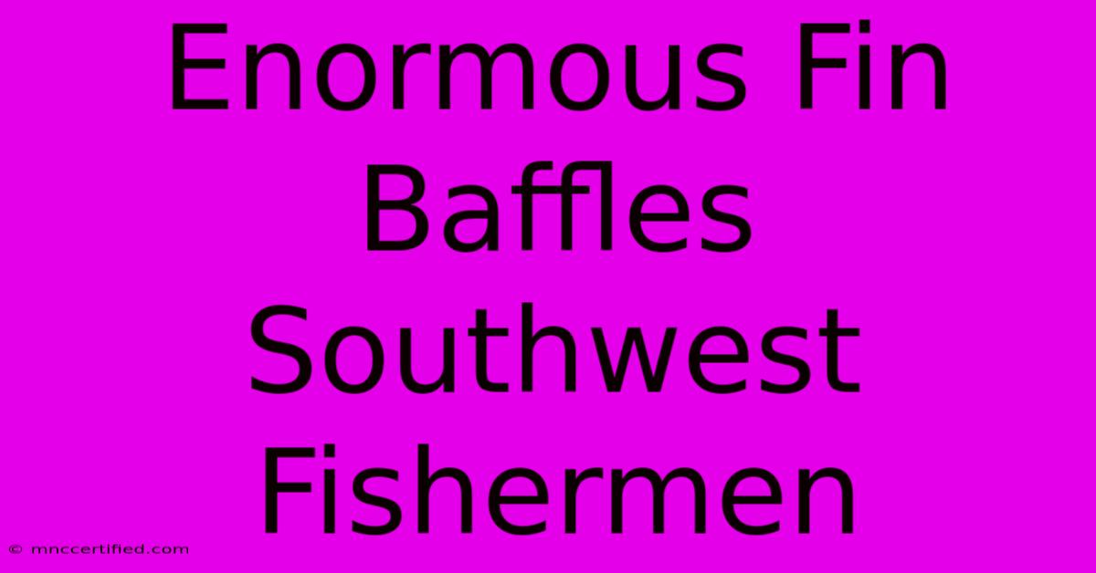 Enormous Fin Baffles Southwest Fishermen