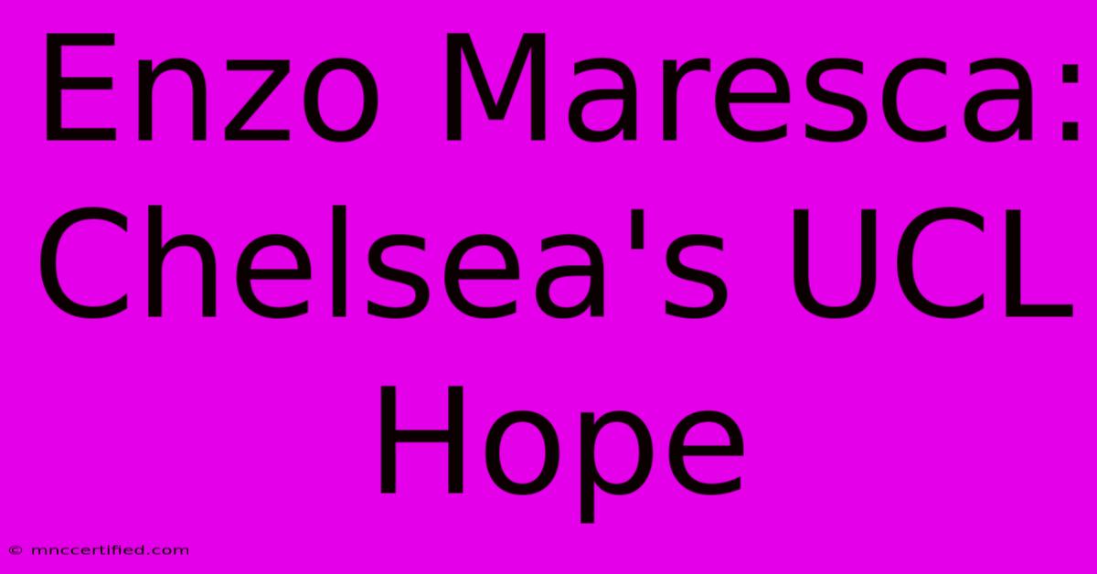 Enzo Maresca: Chelsea's UCL Hope