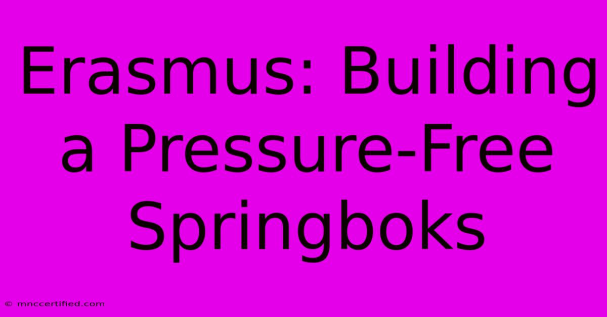 Erasmus: Building A Pressure-Free Springboks