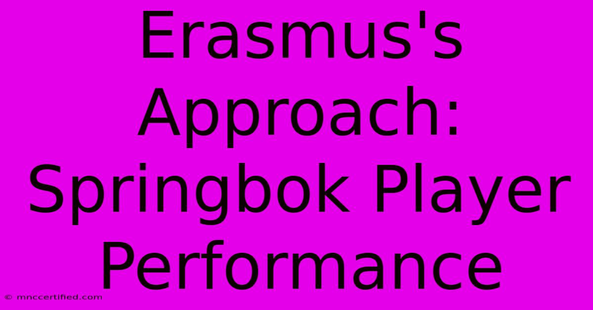 Erasmus's Approach: Springbok Player Performance