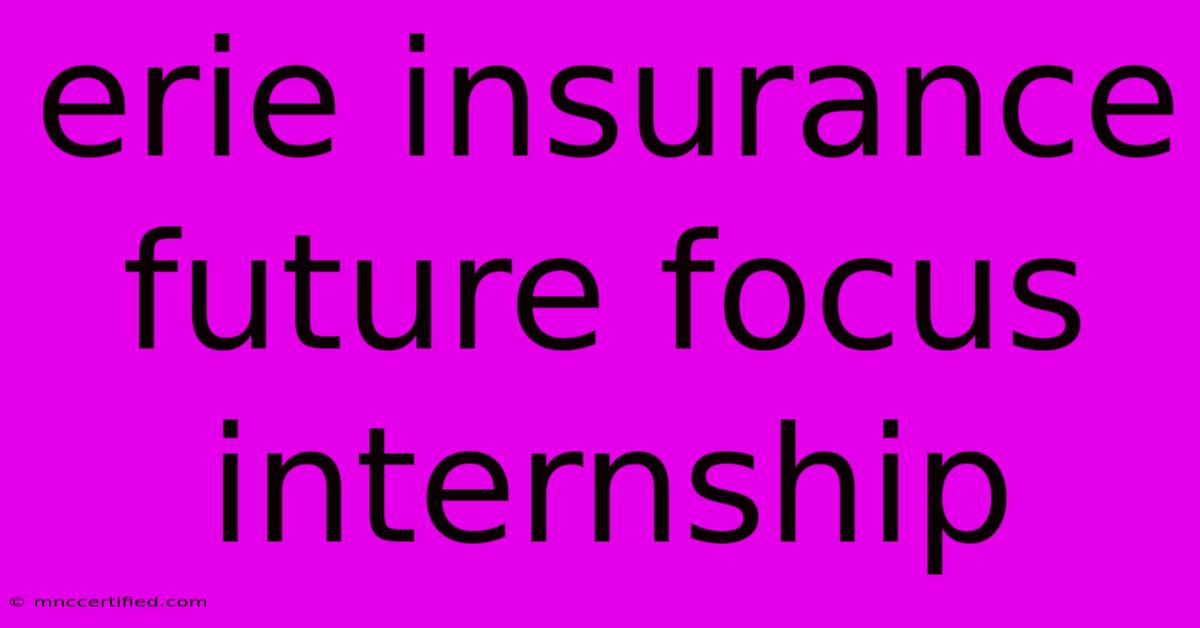 Erie Insurance Future Focus Internship