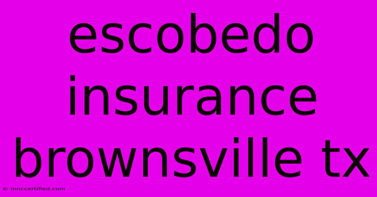 Escobedo Insurance Brownsville Tx