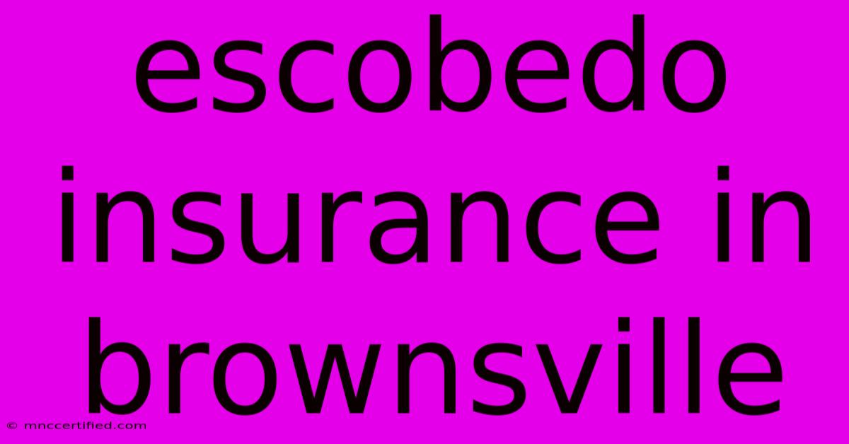 Escobedo Insurance In Brownsville