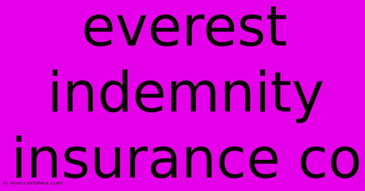 Everest Indemnity Insurance Co