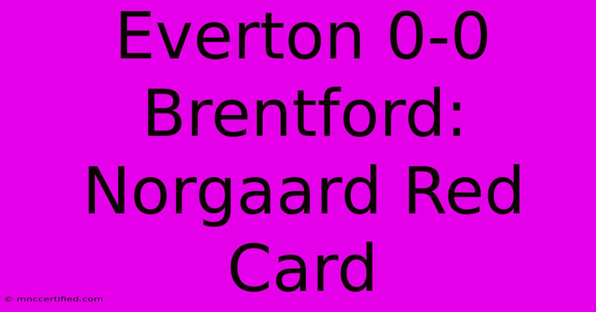 Everton 0-0 Brentford: Norgaard Red Card