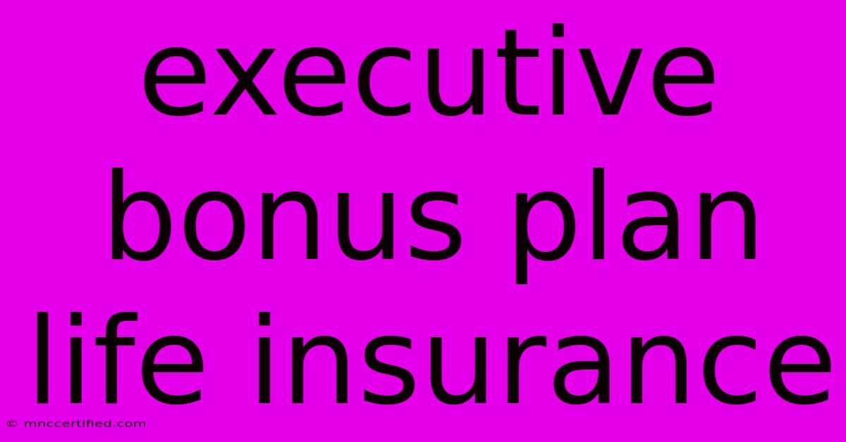 Executive Bonus Plan Life Insurance