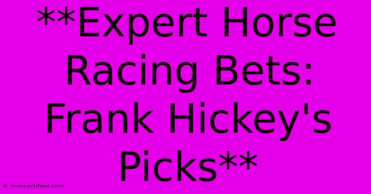 **Expert Horse Racing Bets: Frank Hickey's Picks**