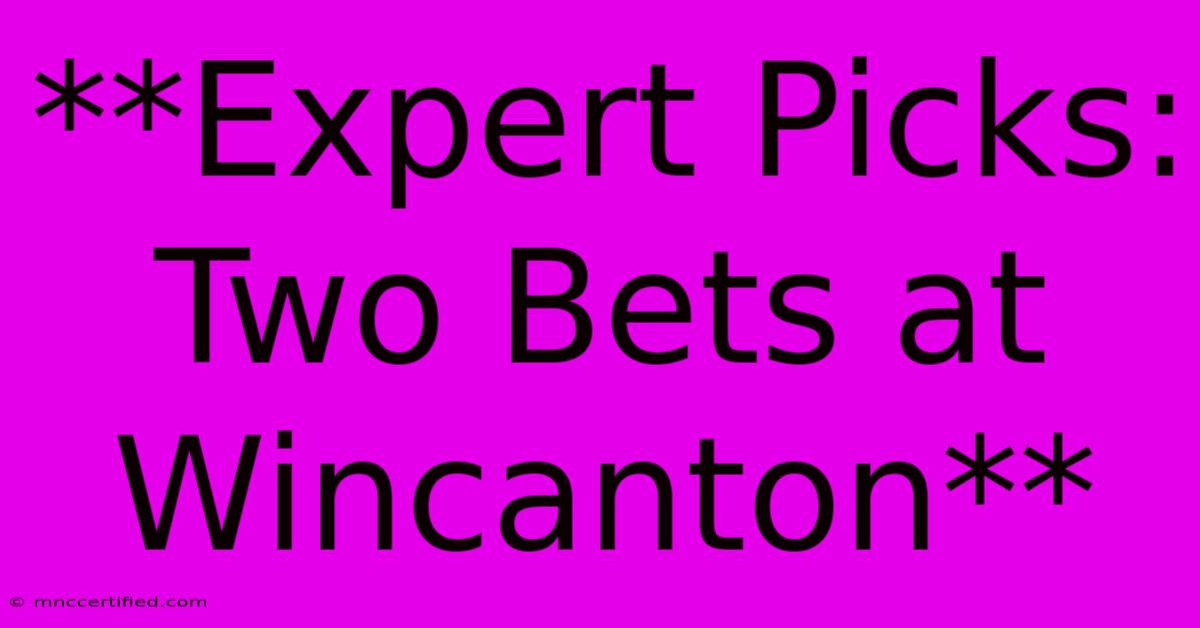 **Expert Picks: Two Bets At Wincanton** 