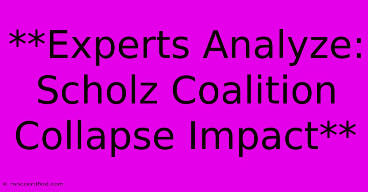 **Experts Analyze: Scholz Coalition Collapse Impact**