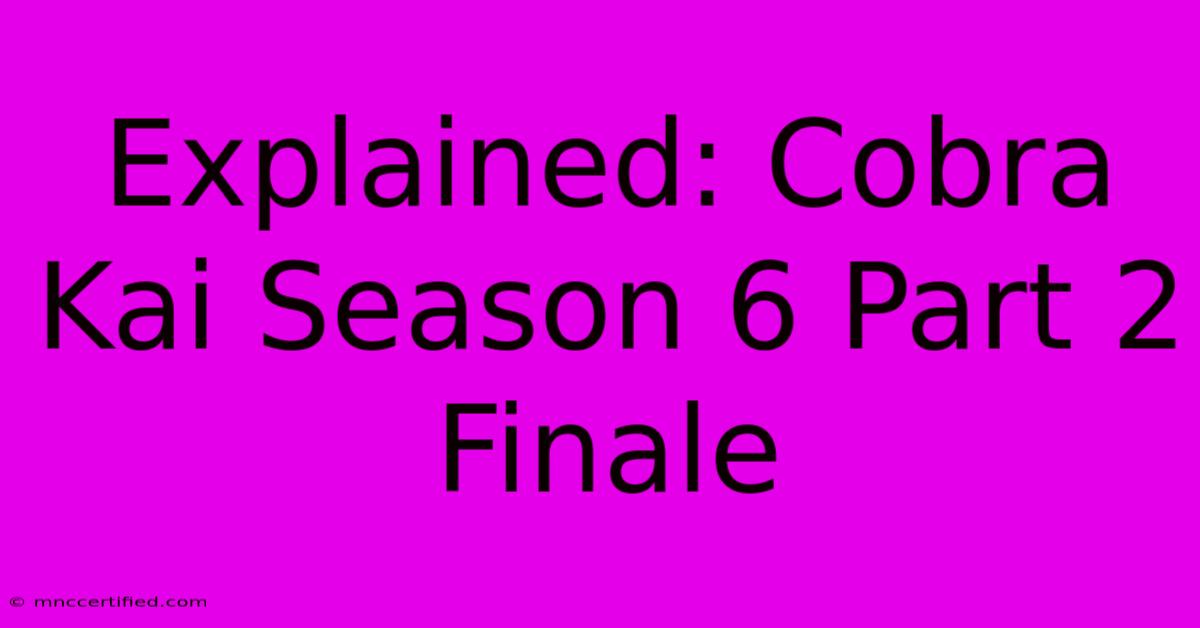 Explained: Cobra Kai Season 6 Part 2 Finale