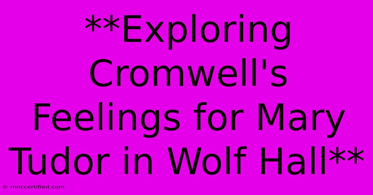 **Exploring Cromwell's Feelings For Mary Tudor In Wolf Hall**