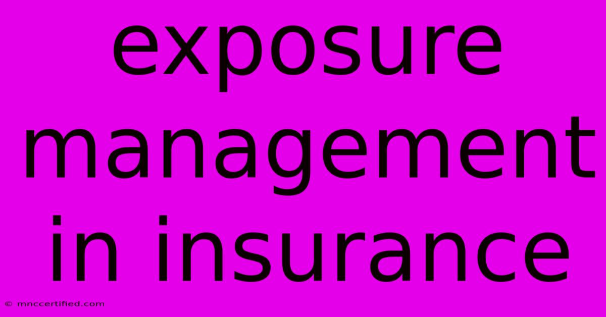 Exposure Management In Insurance