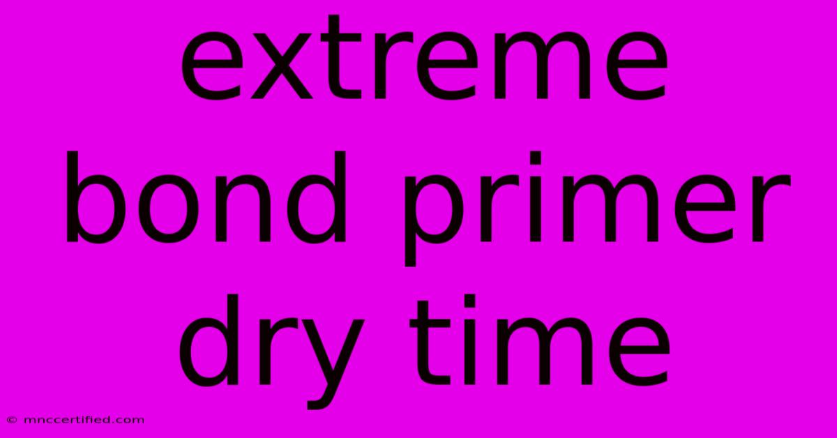 Extreme Bond Primer Dry Time