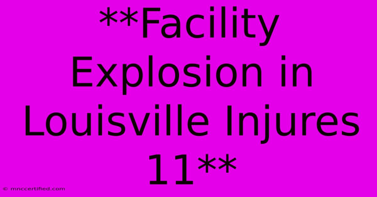 **Facility Explosion In Louisville Injures 11**