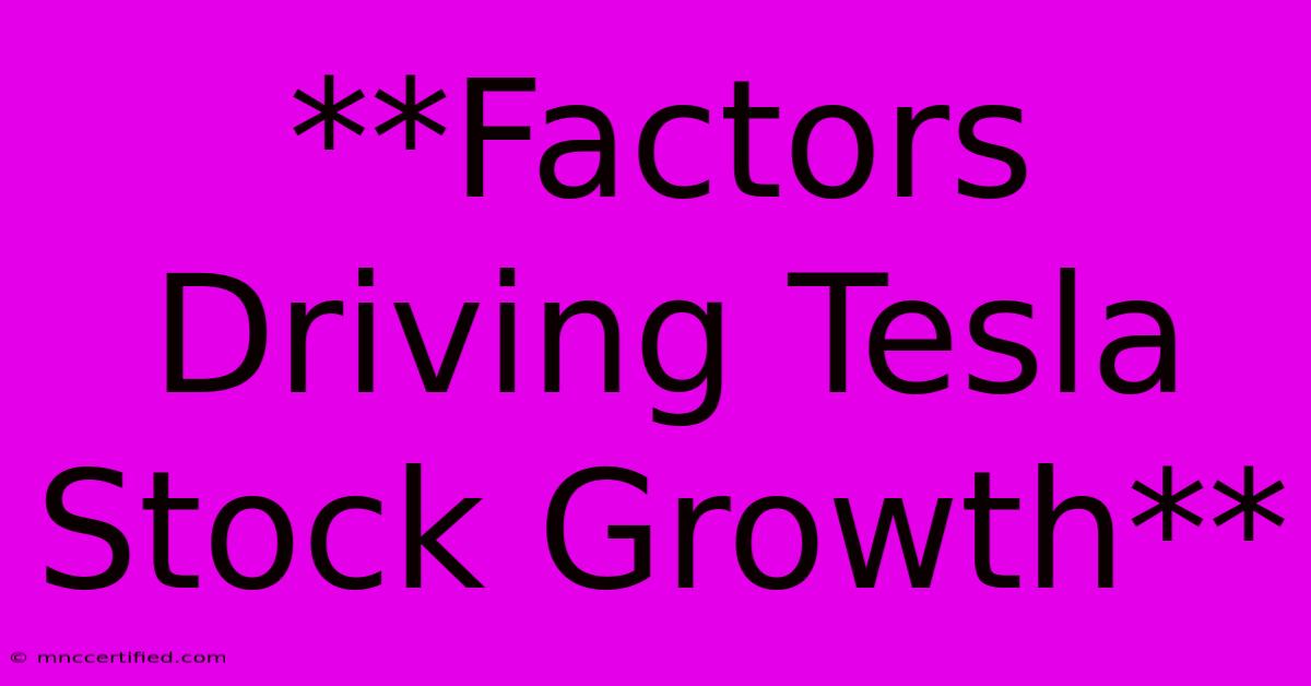 **Factors Driving Tesla Stock Growth**