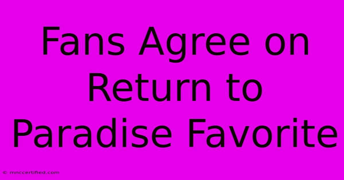 Fans Agree On Return To Paradise Favorite