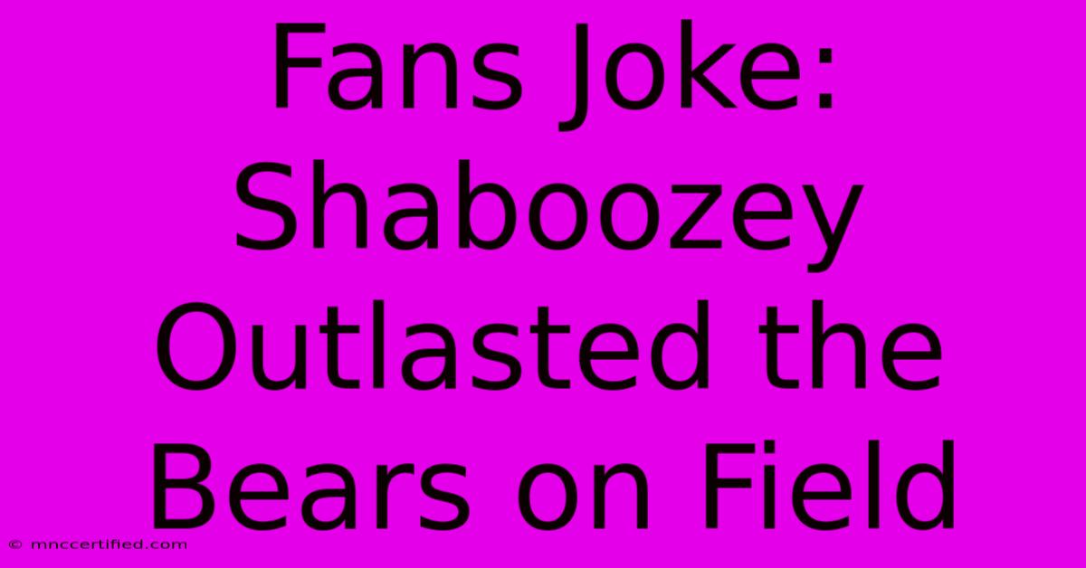 Fans Joke: Shaboozey Outlasted The Bears On Field