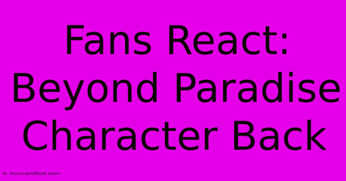 Fans React: Beyond Paradise Character Back