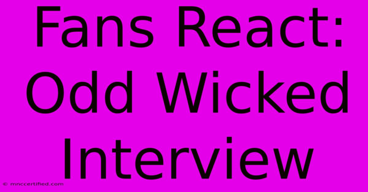 Fans React: Odd Wicked Interview