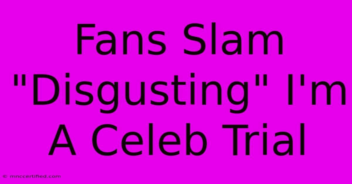 Fans Slam 