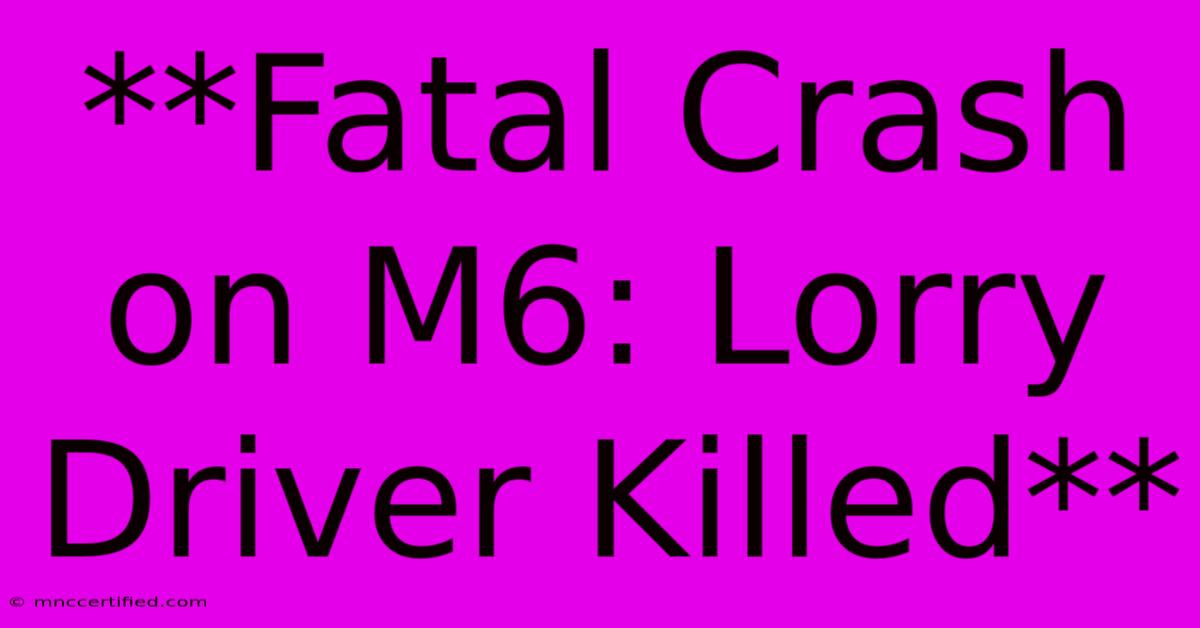 **Fatal Crash On M6: Lorry Driver Killed**