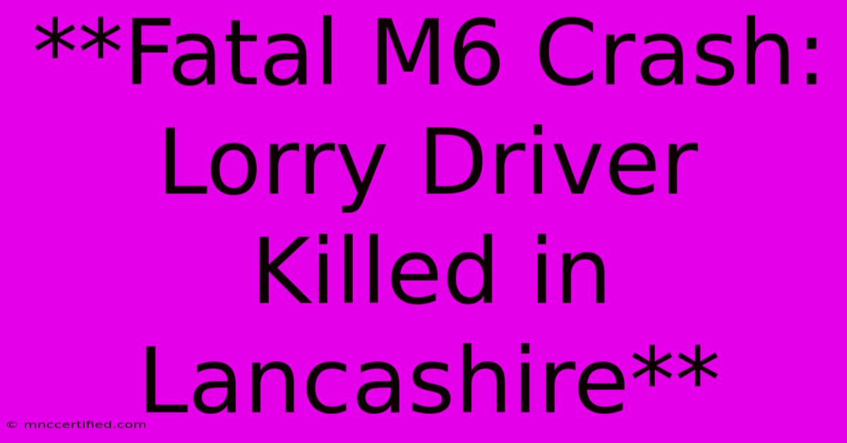 **Fatal M6 Crash: Lorry Driver Killed In Lancashire**