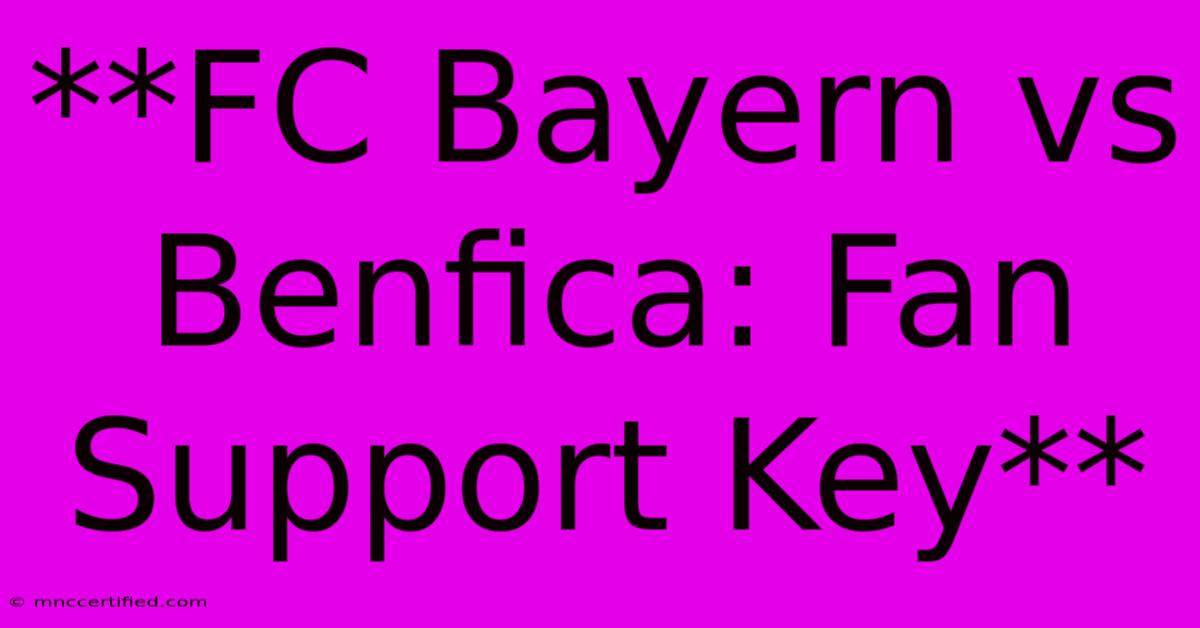 **FC Bayern Vs Benfica: Fan Support Key**