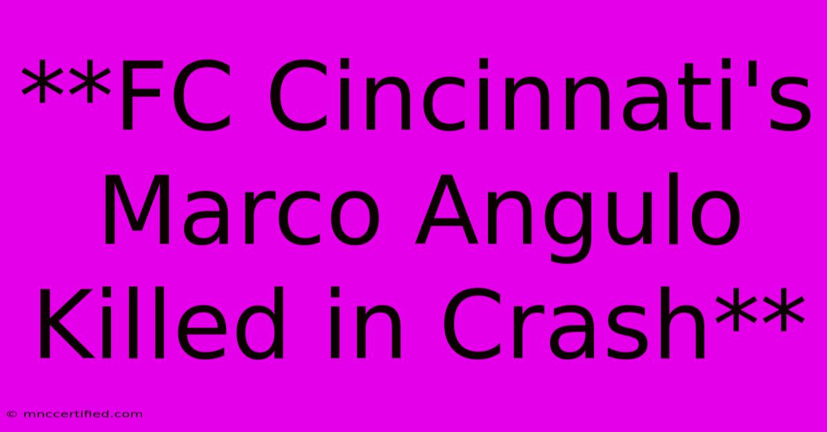 **FC Cincinnati's Marco Angulo Killed In Crash**