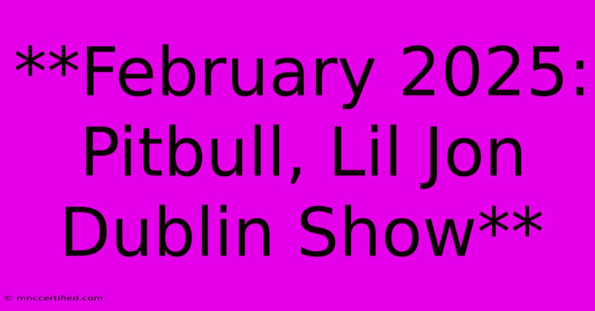 **February 2025: Pitbull, Lil Jon Dublin Show** 