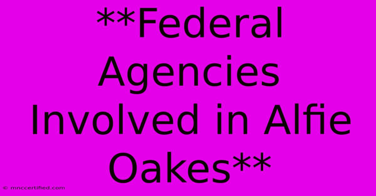 **Federal Agencies Involved In Alfie Oakes**