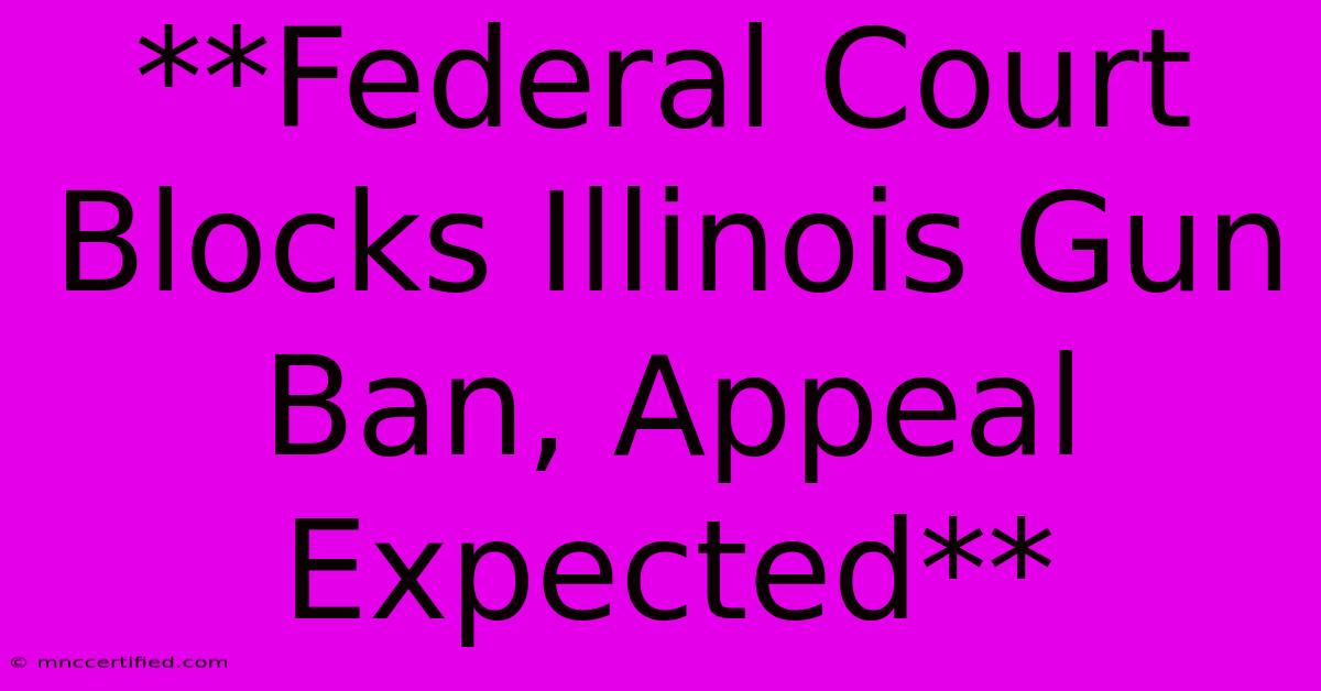 **Federal Court Blocks Illinois Gun Ban, Appeal Expected**