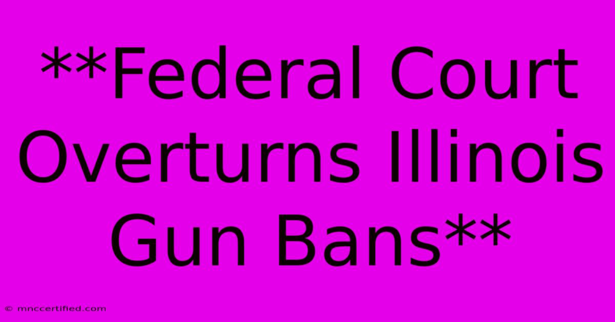 **Federal Court Overturns Illinois Gun Bans**