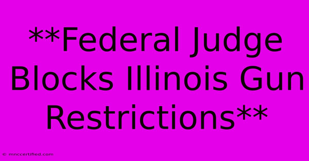 **Federal Judge Blocks Illinois Gun Restrictions**