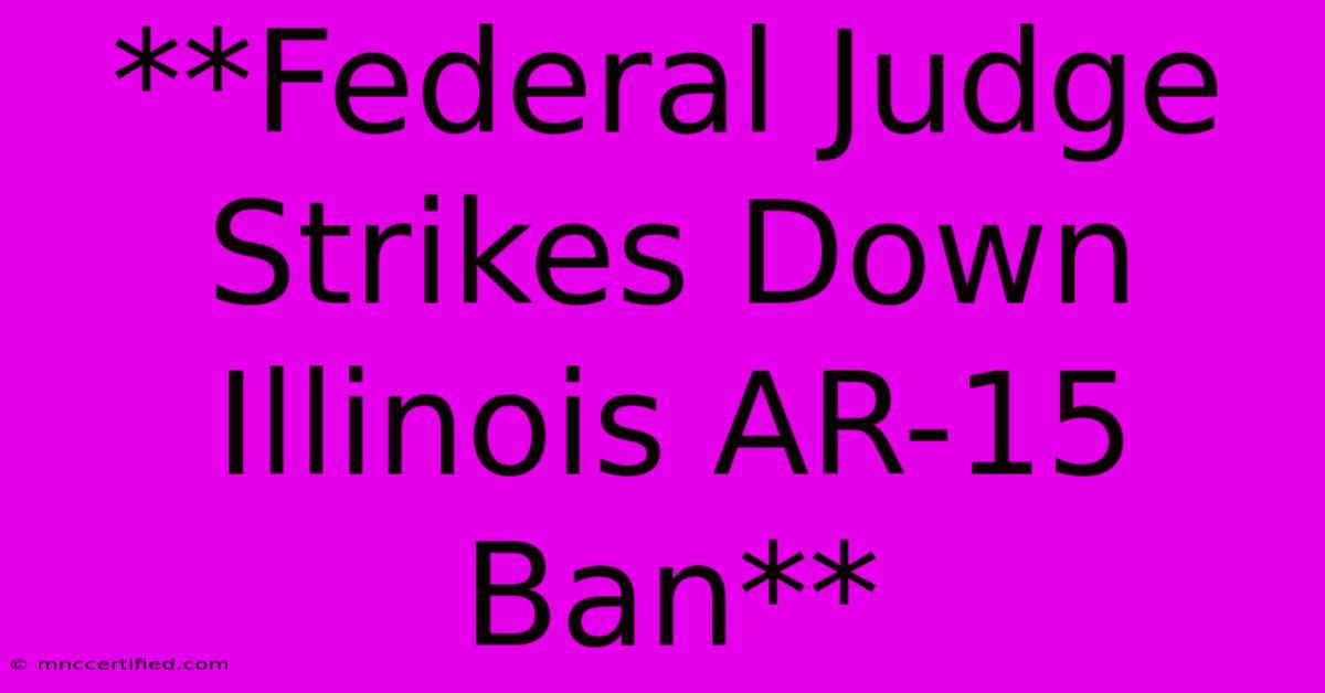 **Federal Judge Strikes Down Illinois AR-15 Ban**