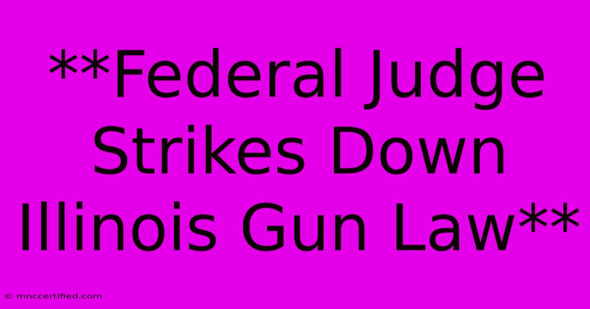 **Federal Judge Strikes Down Illinois Gun Law**