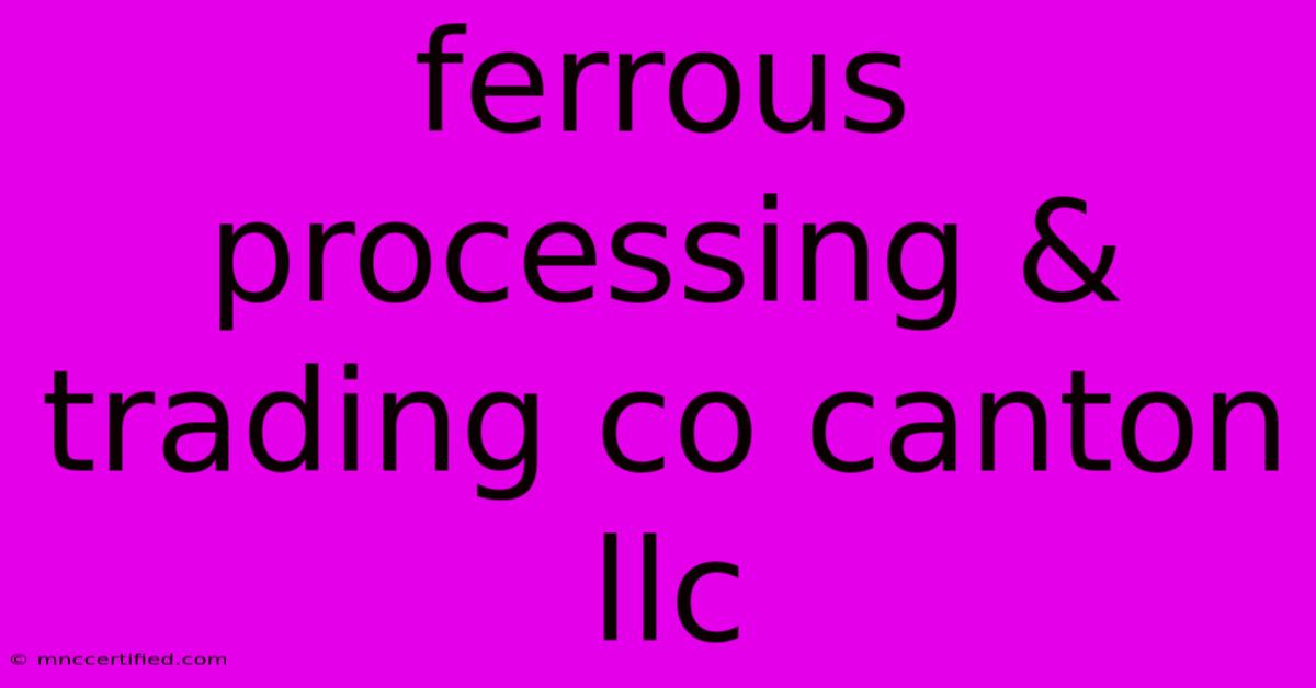 Ferrous Processing & Trading Co Canton Llc