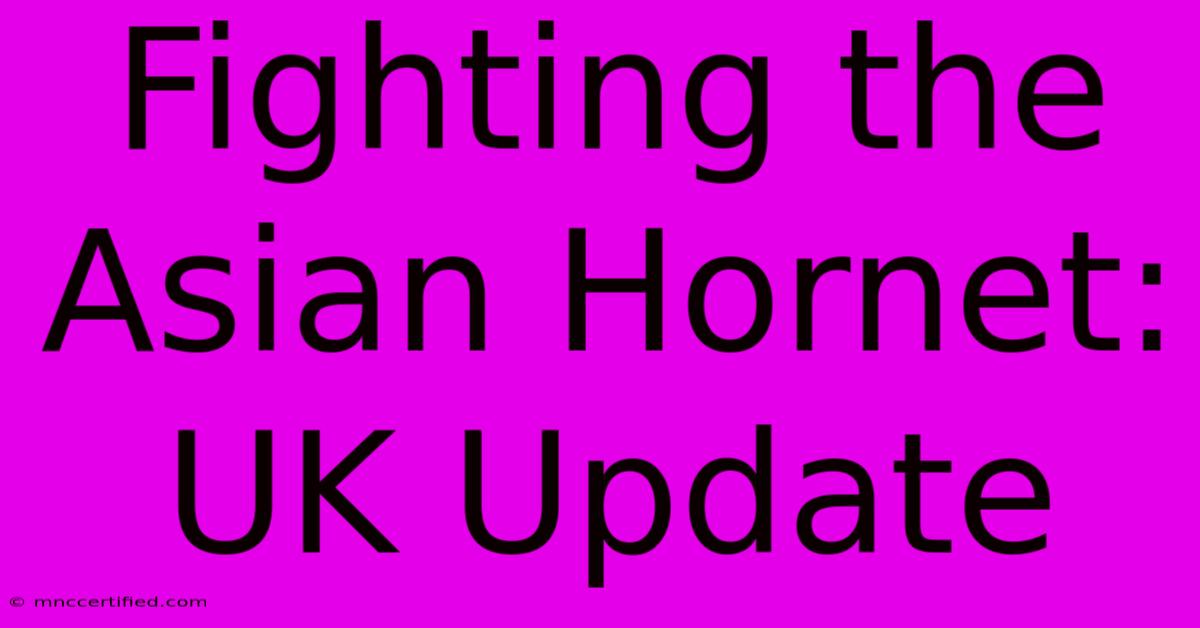 Fighting The Asian Hornet: UK Update