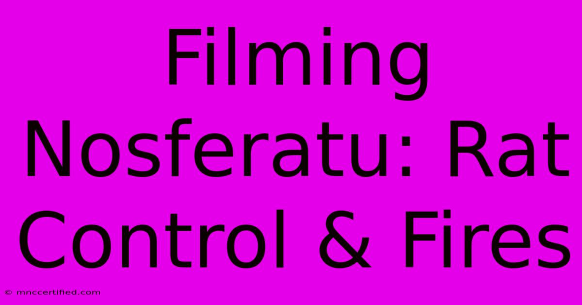 Filming Nosferatu: Rat Control & Fires