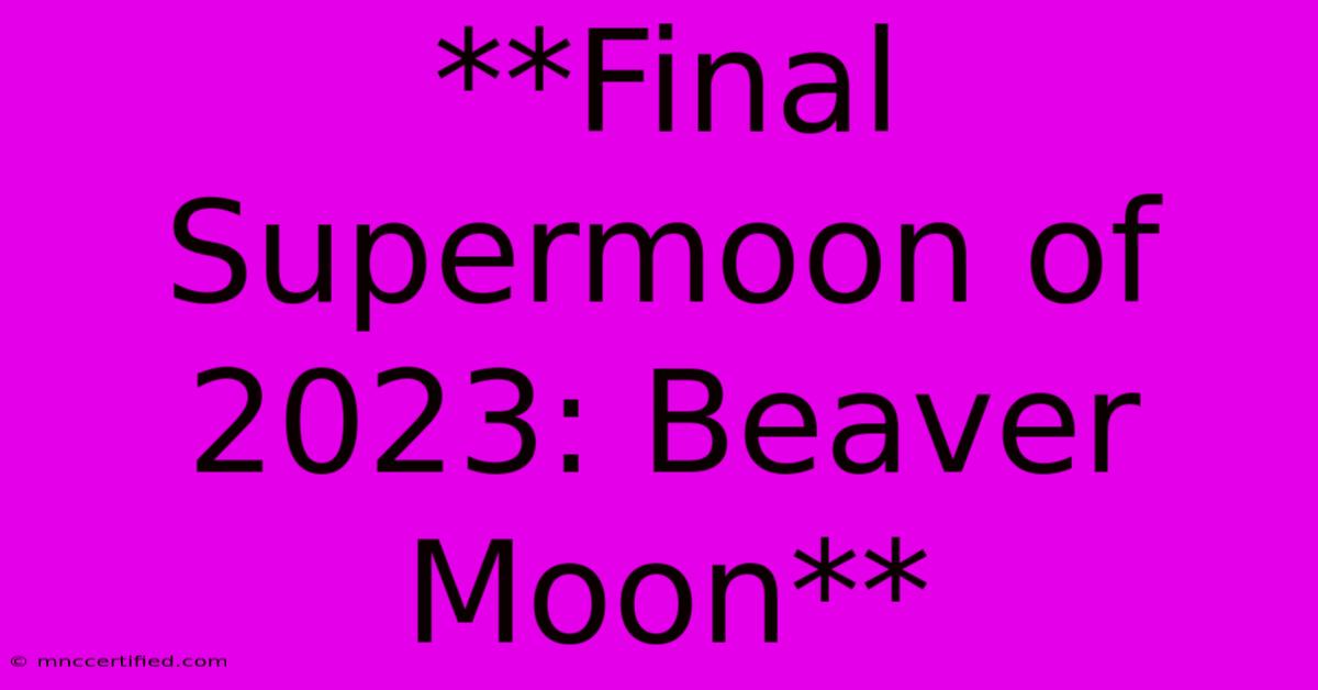 **Final Supermoon Of 2023: Beaver Moon**