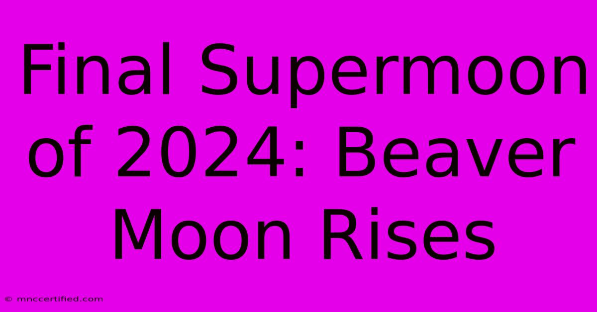 Final Supermoon Of 2024: Beaver Moon Rises