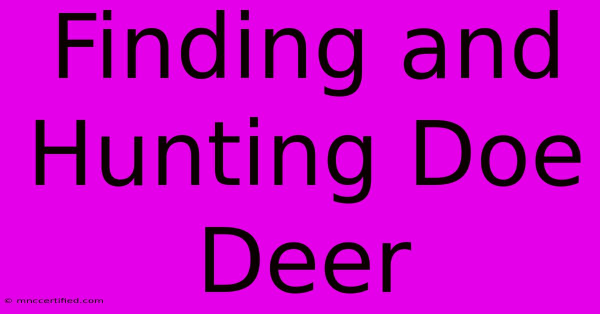 Finding And Hunting Doe Deer