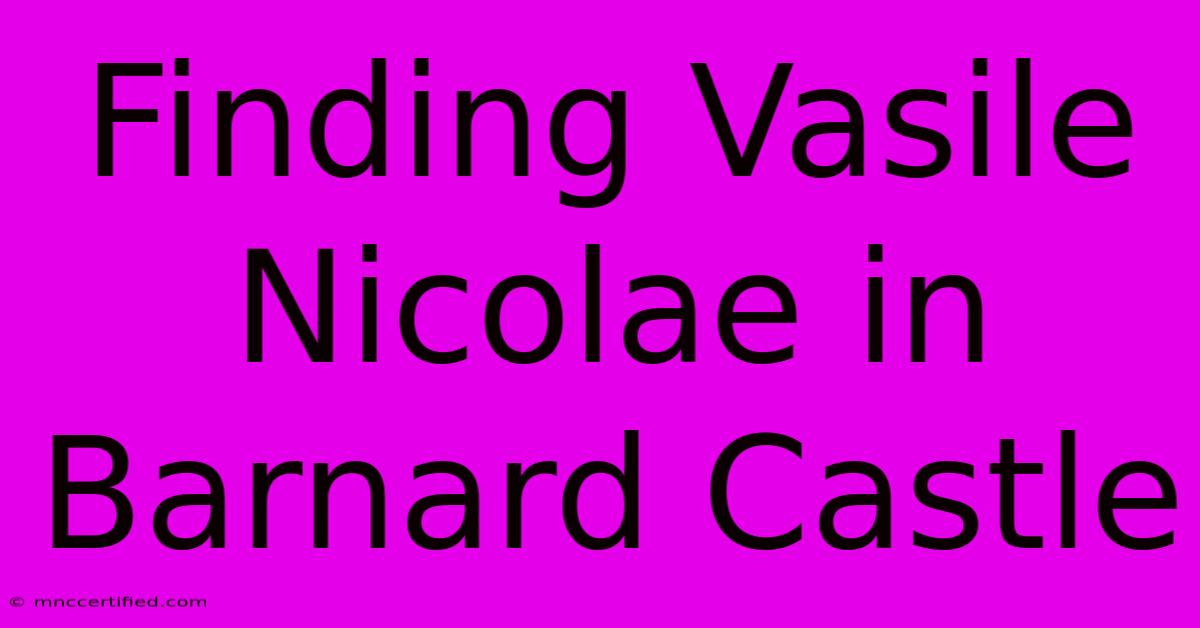 Finding Vasile Nicolae In Barnard Castle