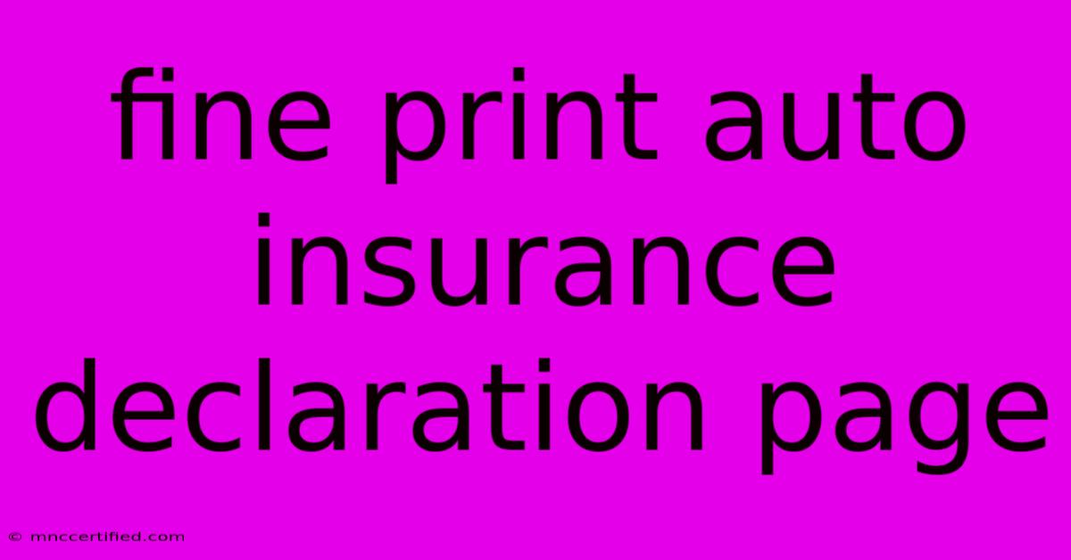 Fine Print Auto Insurance Declaration Page