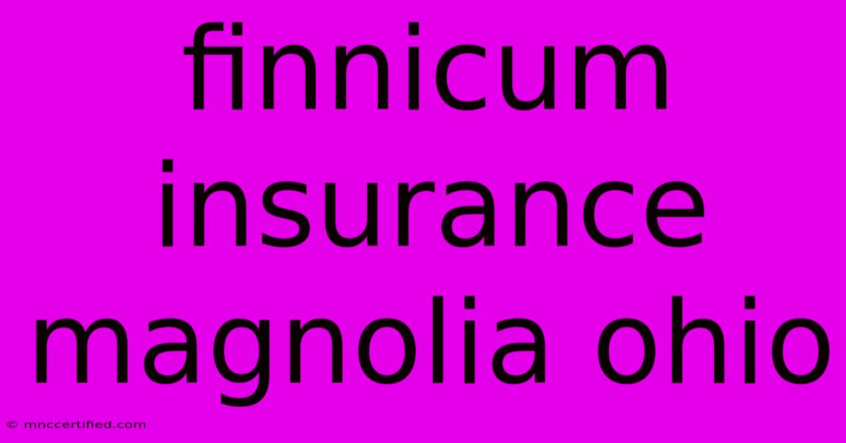 Finnicum Insurance Magnolia Ohio