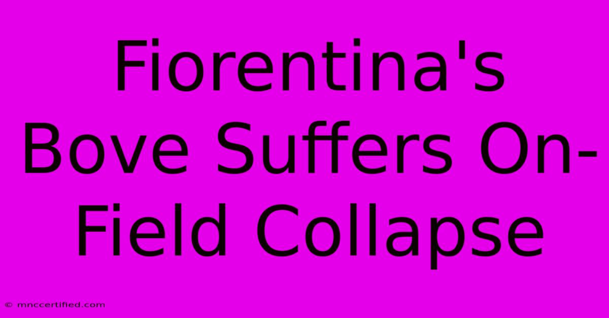 Fiorentina's Bove Suffers On-Field Collapse