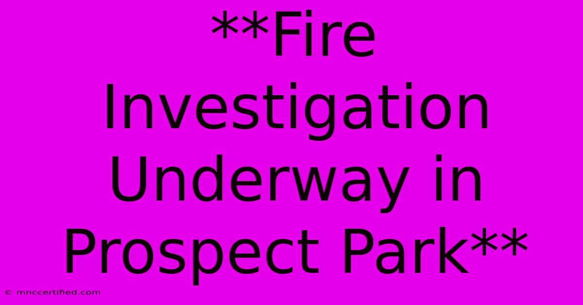 **Fire Investigation Underway In Prospect Park**