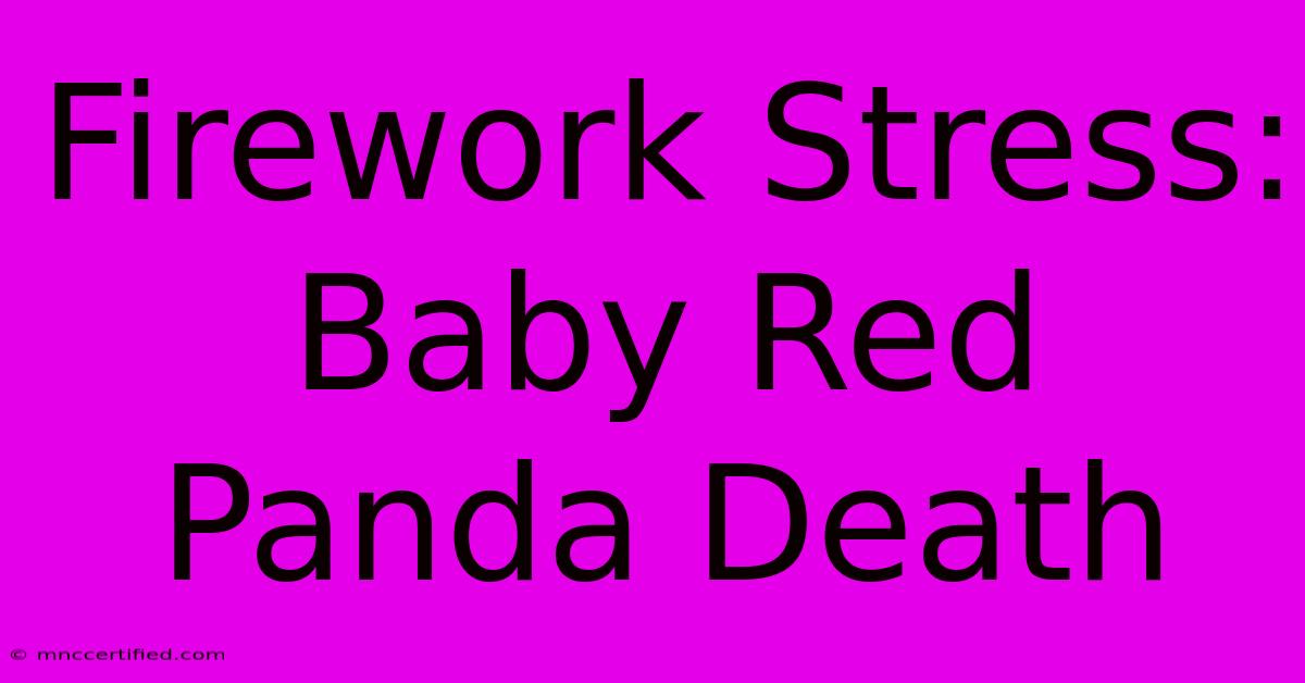 Firework Stress: Baby Red Panda Death