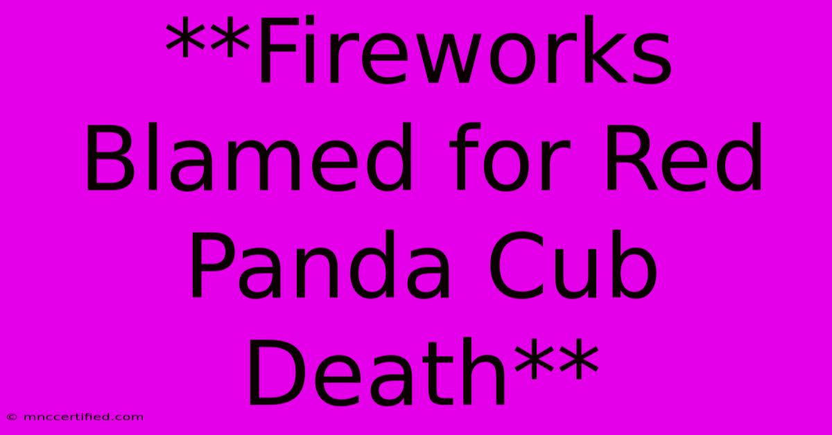 **Fireworks Blamed For Red Panda Cub Death**